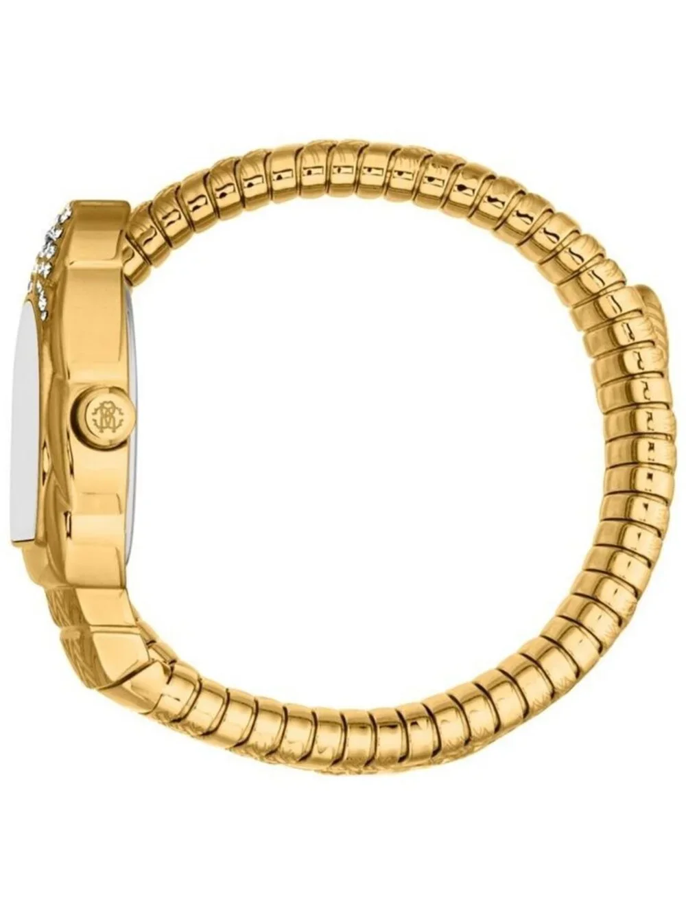 NWT Roberto Cavalli Aurora Silver-tone Dial Ladies Watch